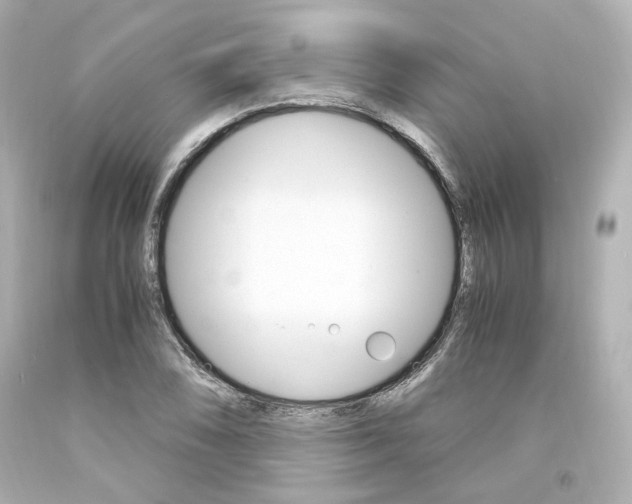 X0000094361074200711021330