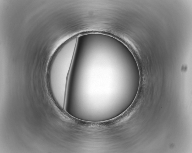 X0000094361077200711021330