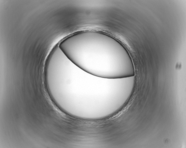 X0000094361079200711021330