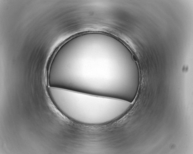 X0000094361080200711021330