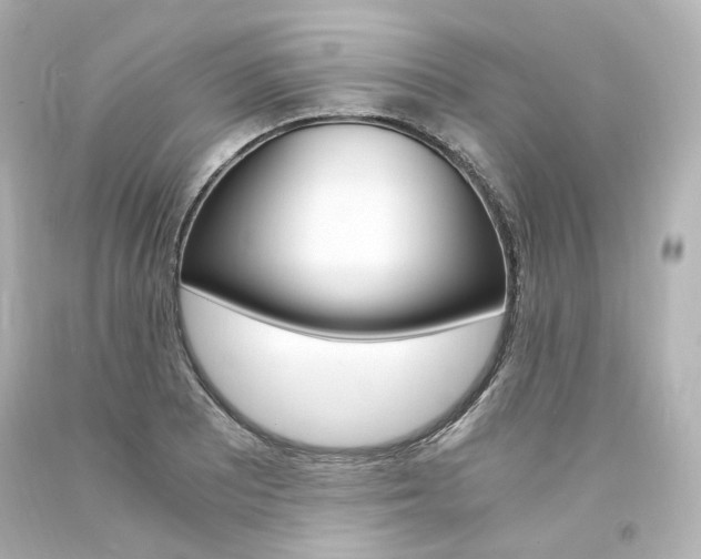 X0000094361081200711021330