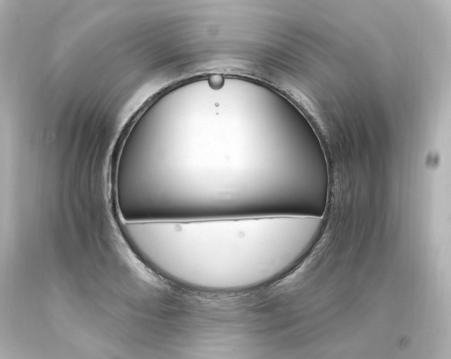 X0000094361082200711021330