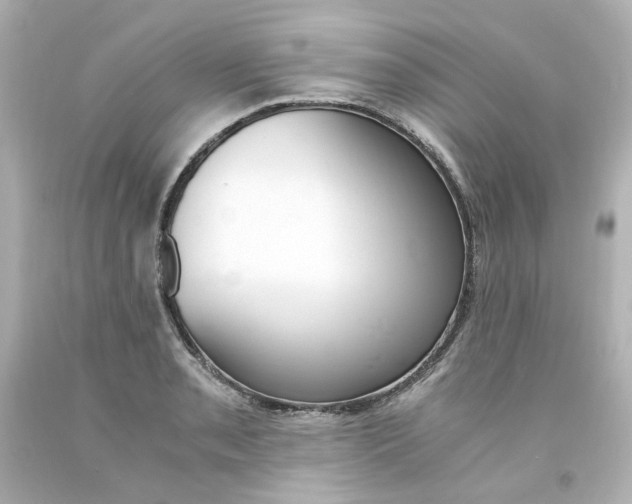 X0000094361085200711021330