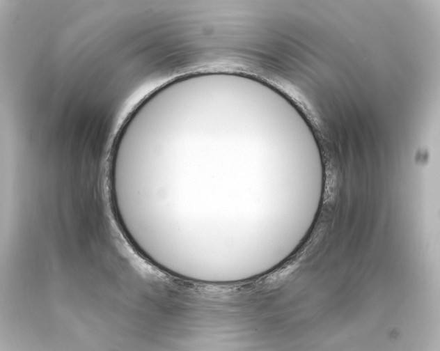 X0000094361086200711021330