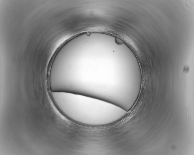 X0000094361087200711021330