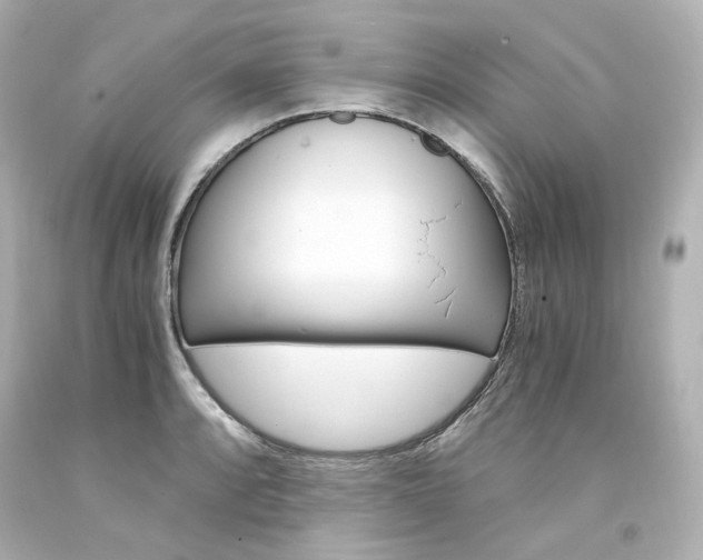 X0000094361088200711021330