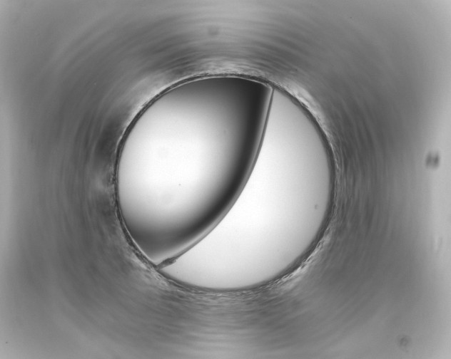 X0000094361089200711021330