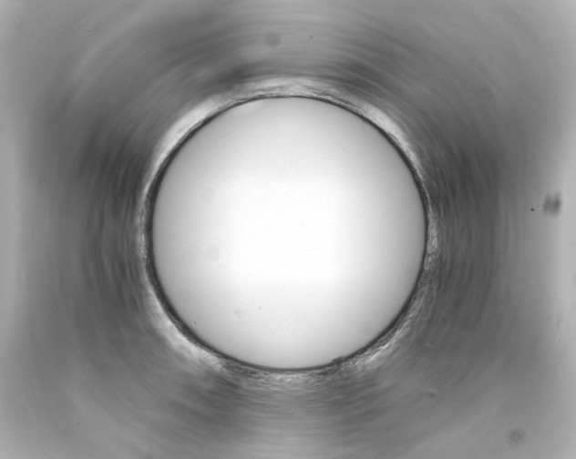 X0000094361090200711021330
