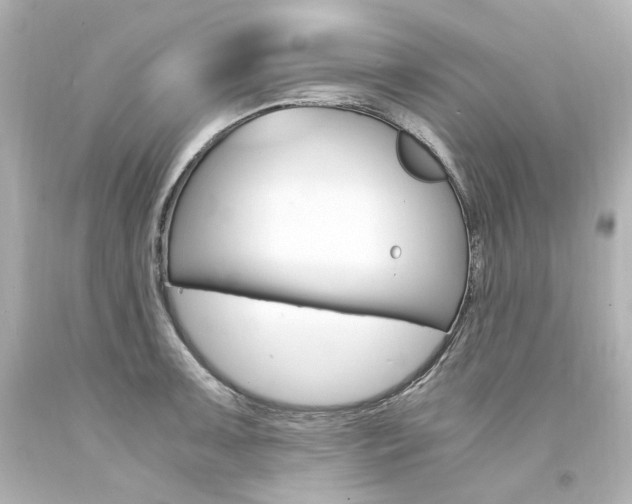 X0000094361091200711021330
