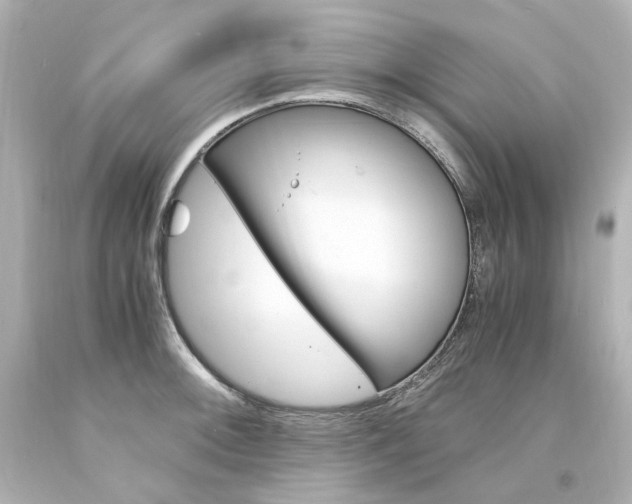 X0000094361092200711021330
