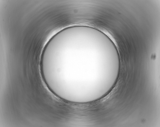 X0000094361093200711021330