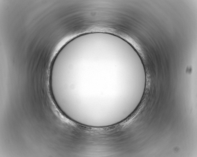 X0000094361094200711021330