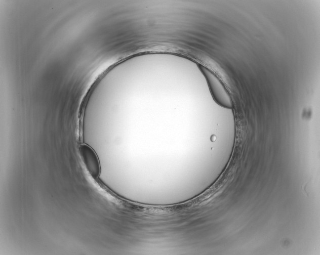 X0000094361095200711021330