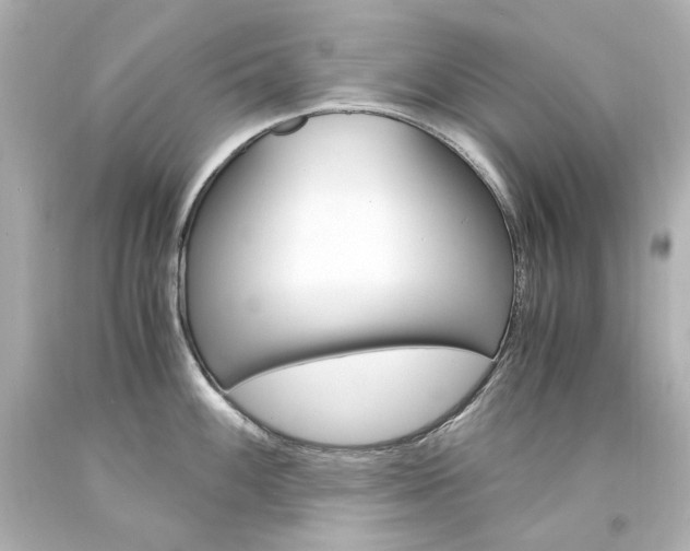 X0000094361100200711021330