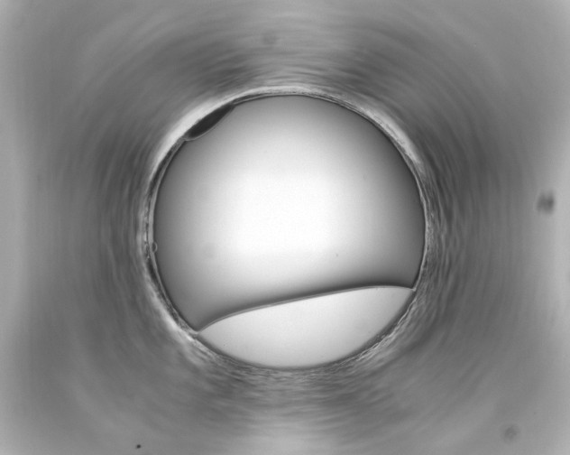 X0000094361101200711021330