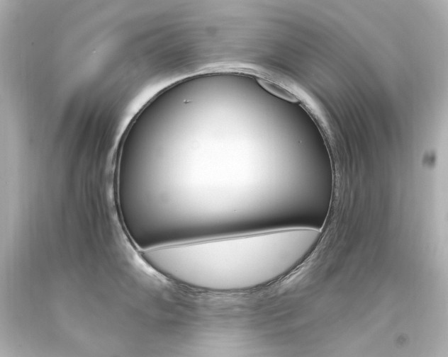 X0000094361102200711021330