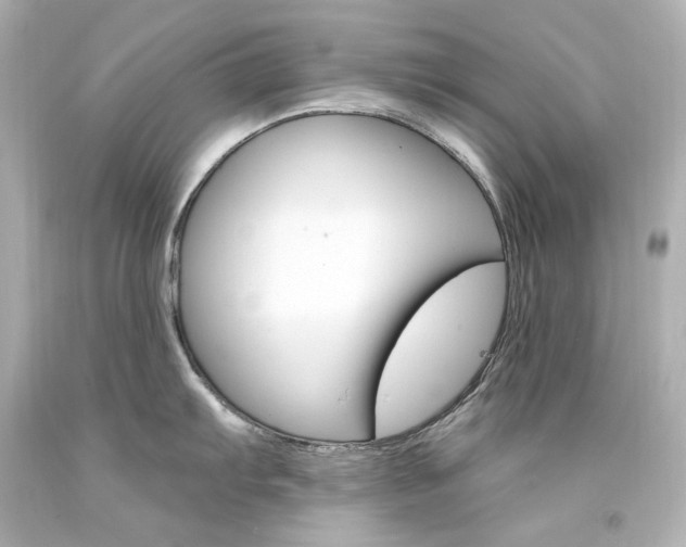 X0000094361103200711021330