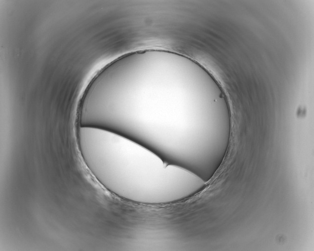 X0000094361104200711021330