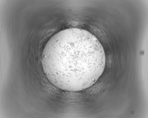 X0000094361105200711021329
