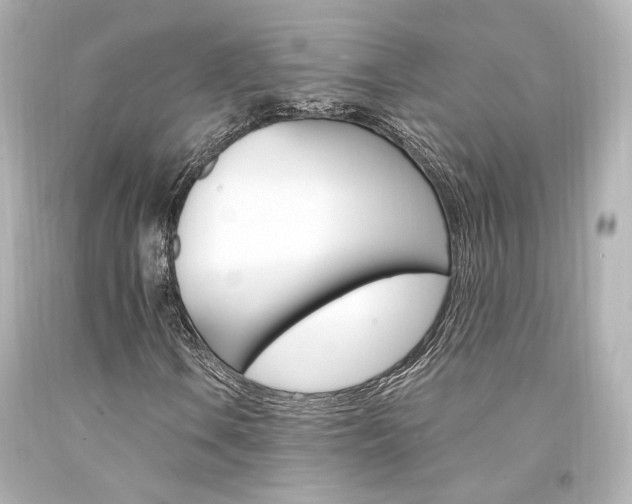 X0000094361106200711021329