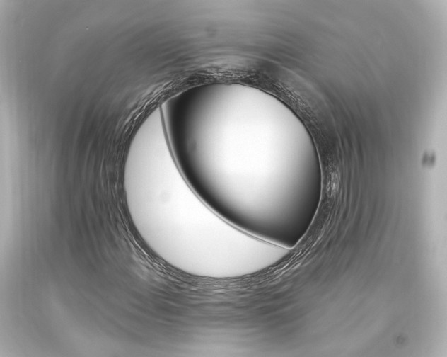 X0000094361108200711021329