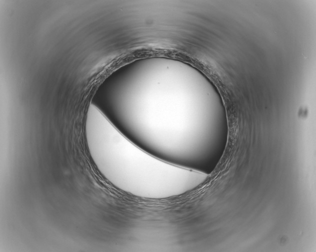 X0000094361110200711021329