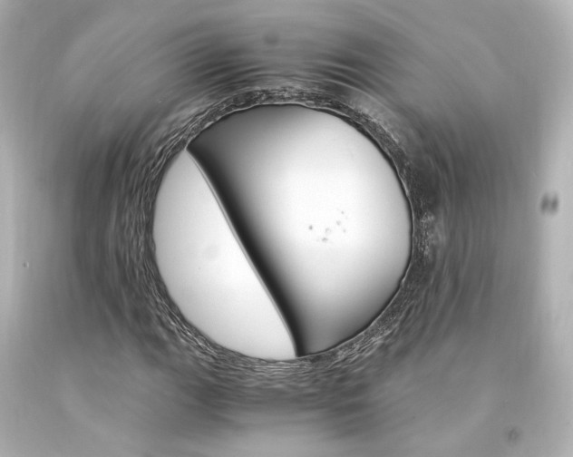 X0000094361111200711021329