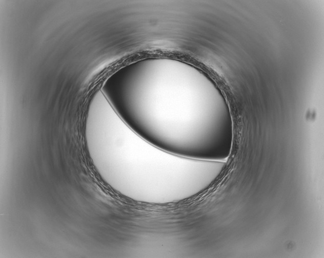 X0000094361112200711021329