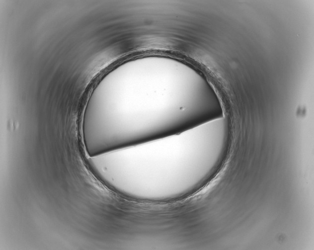 X0000094361113200711021329