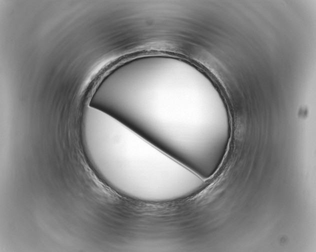 X0000094361115200711021330