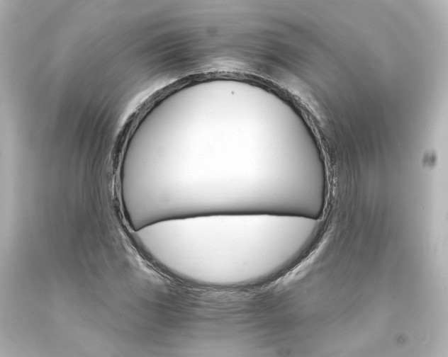 X0000094361117200711021330