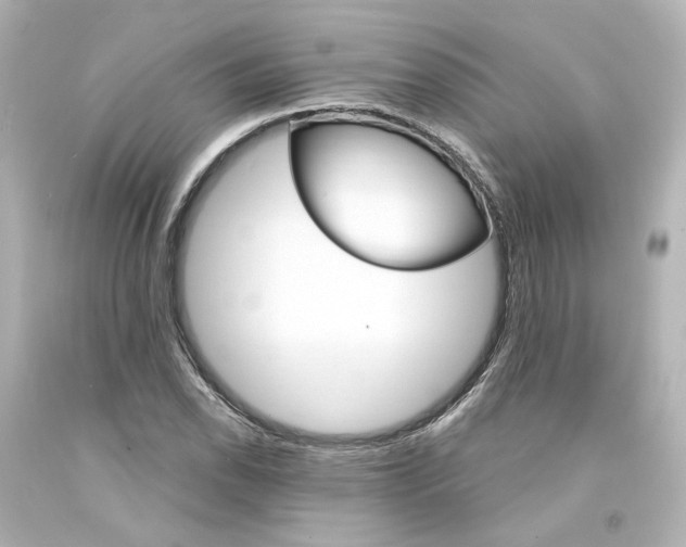 X0000094361118200711021330