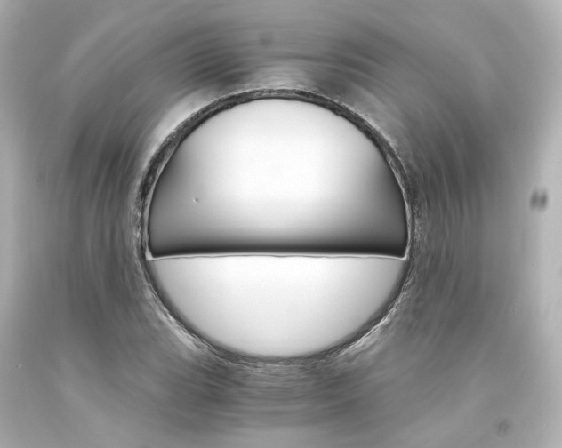 X0000094361119200711021330