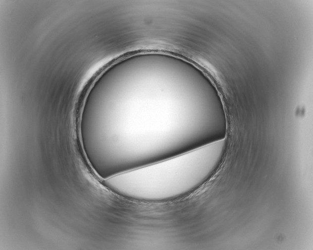 X0000094361120200711021330
