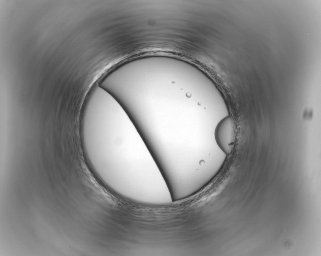 X0000094361121200711021330