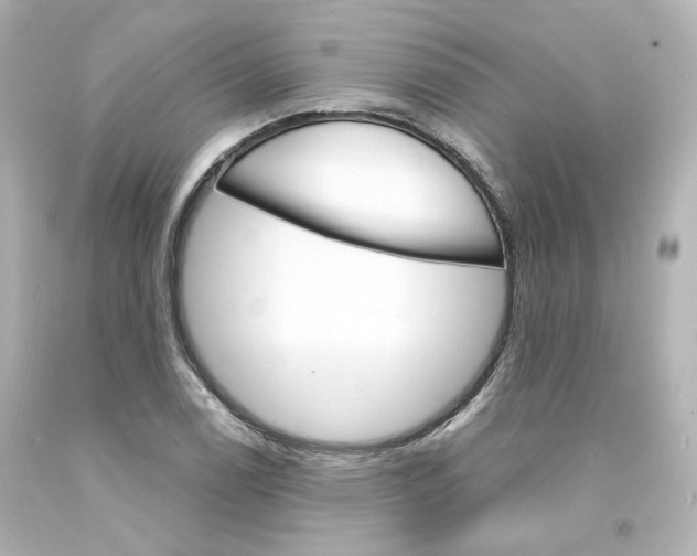 X0000094361122200711021330