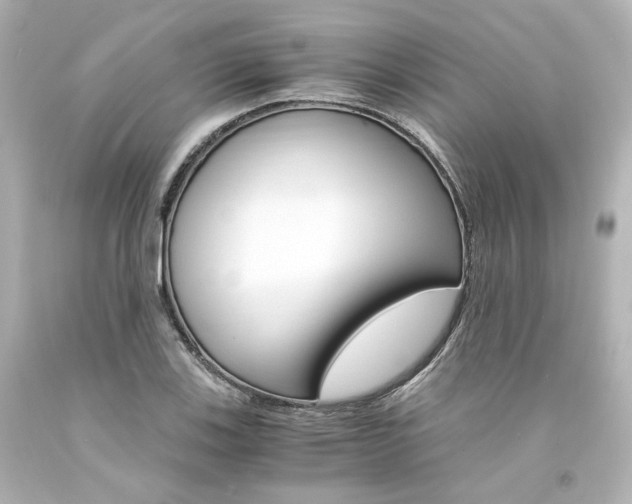 X0000094361123200711021330