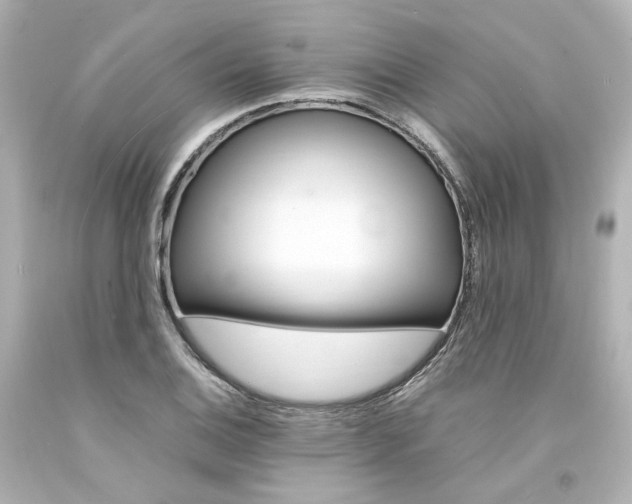 X0000094361124200711021330
