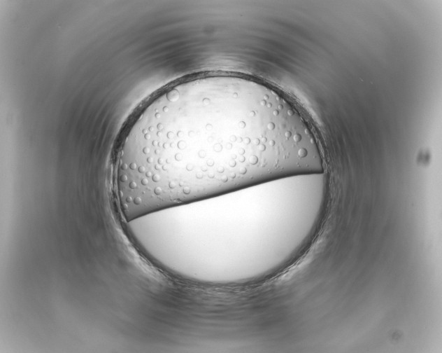 X0000094361125200711021330