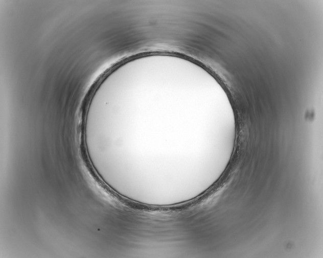 X0000094361126200711021330