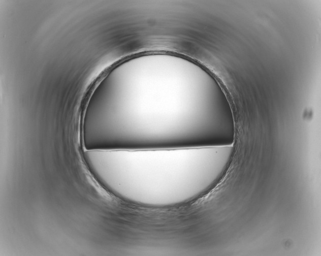 X0000094361127200711021330