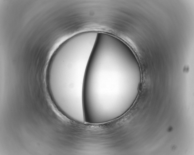X0000094361128200711021330