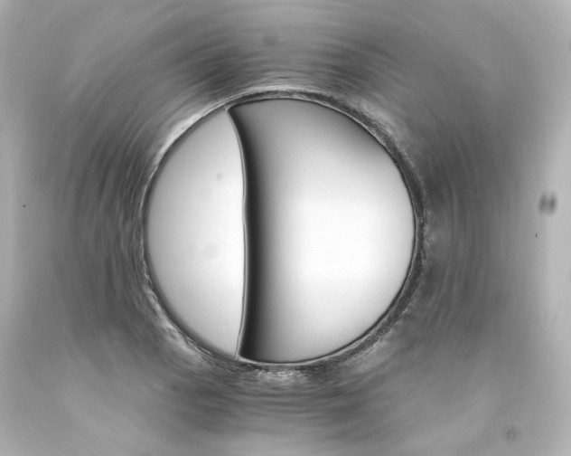 X0000094361129200711021330