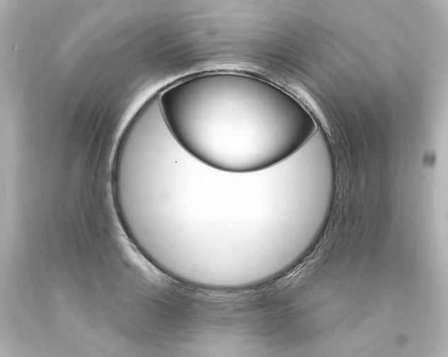 X0000094361132200711021330