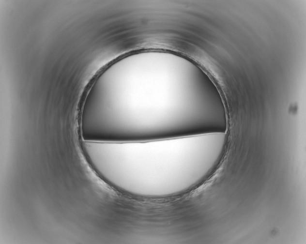 X0000094361133200711021330