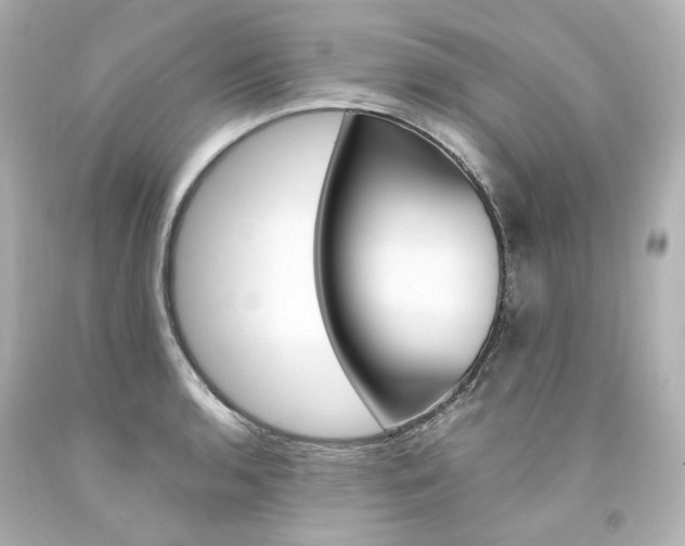 X0000094361136200711021330