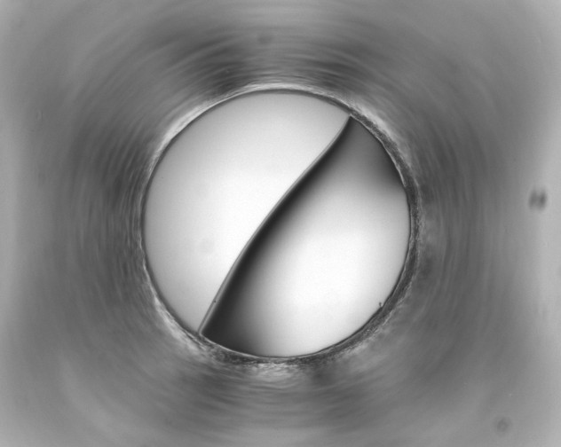 X0000094361137200711021330
