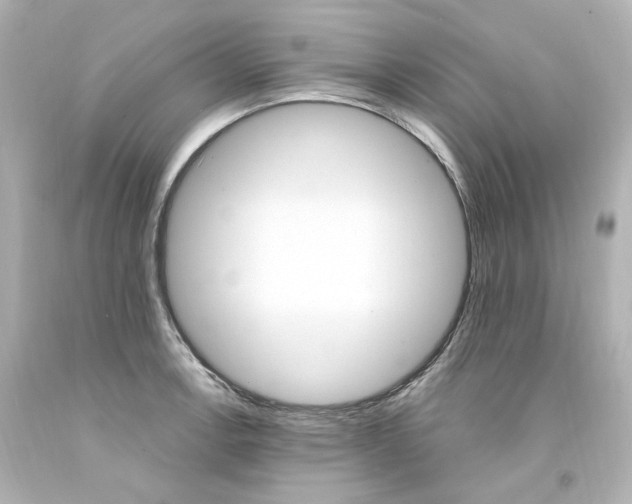 X0000094361138200711021330