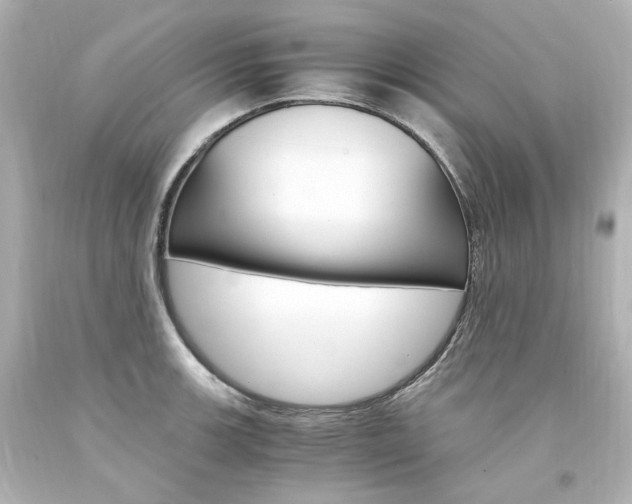X0000094361139200711021330