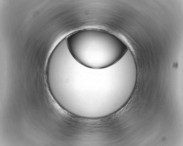 X0000094361140200711021330